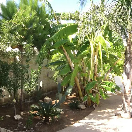 Bed To Rent Villa *
