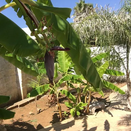 Bed To Rent Villa *